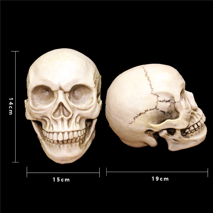 Haunted Mansion Halloween Party Creepy Skull Decoration