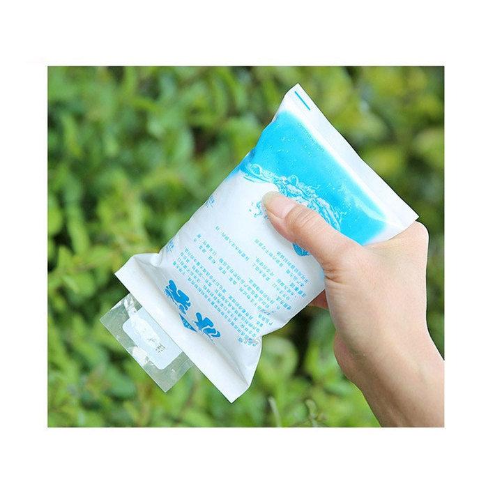 10 Pieces Outdoor Fishing Icebag Camping ICEBAG