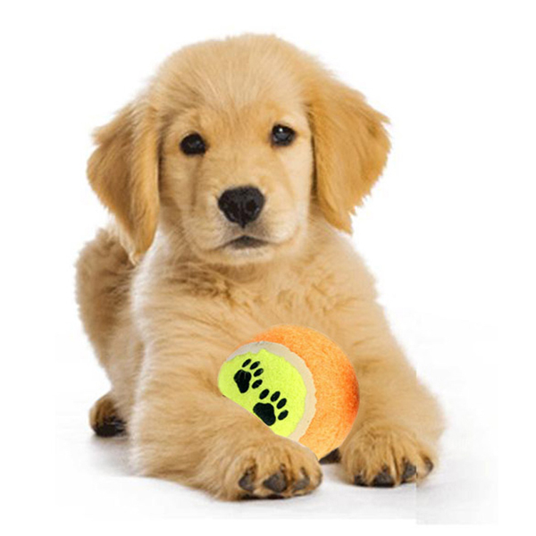 Outdoor Pet Trainning Tennis Dog Balls Dog Toys Run Fetch Throw Play Pet Puppy Toys