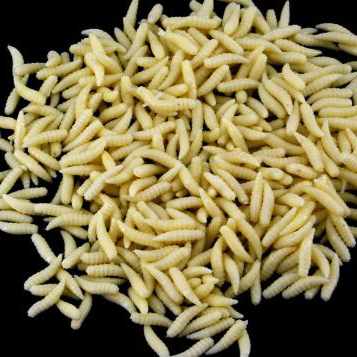 20pcs Fishy Smell Soft Lures Simulation Earthworm Luminous Worms Artificial Fishing Lure