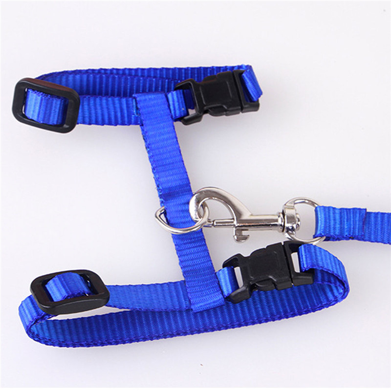 Adjustable Pet Leash Puppy Kitten I-shaped Traction Rope Belt for Safety Walking