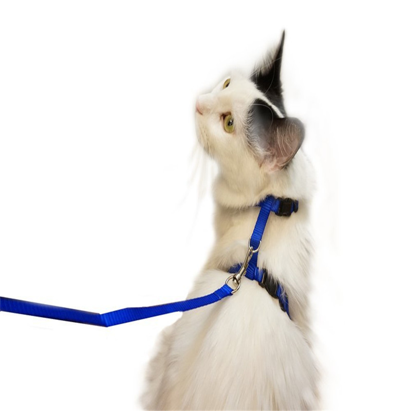 Adjustable Pet Leash Puppy Kitten I-shaped Traction Rope Belt for Safety Walking