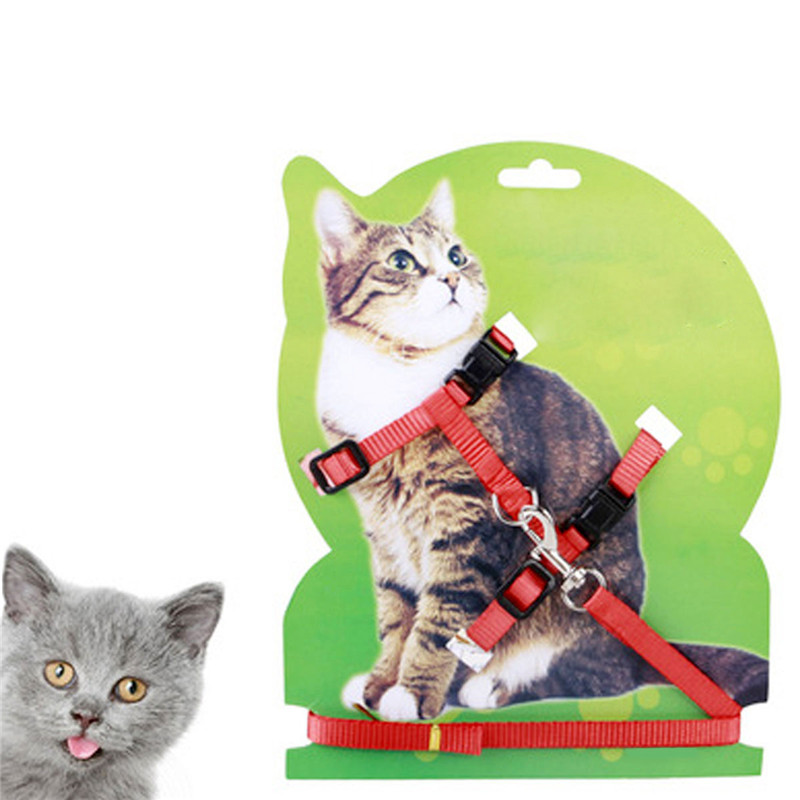 Adjustable Pet Leash Puppy Kitten I-shaped Traction Rope Belt for Safety Walking
