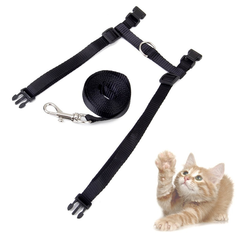 Adjustable Pet Leash Puppy Kitten I-shaped Traction Rope Belt for Safety Walking