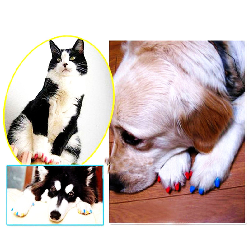 20 Pcs / Set Colorful Pet Nail Sets Catlike Sets Dog Cat Armor Products