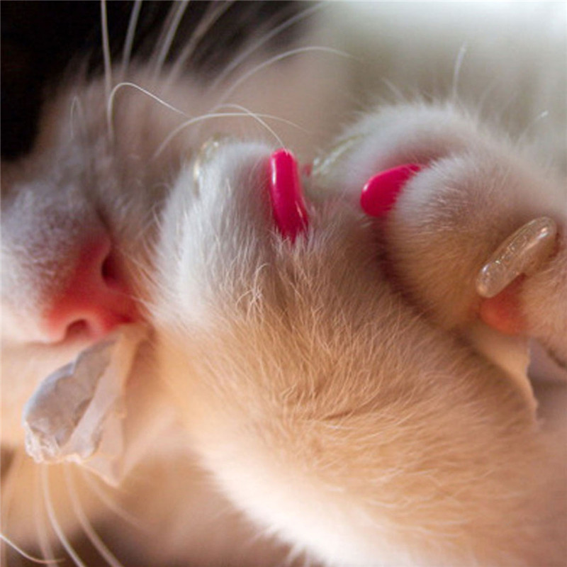 20 Pcs / Set Colorful Pet Nail Sets Catlike Sets Dog Cat Armor Products