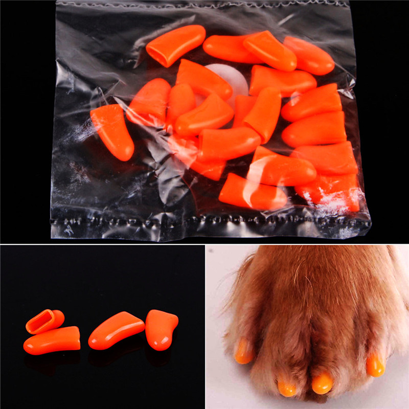 20 Pcs / Set Colorful Pet Nail Sets Catlike Sets Dog Cat Armor Products