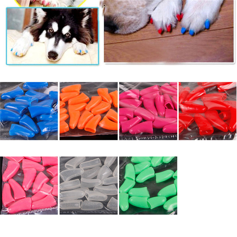 20 Pcs / Set Colorful Pet Nail Sets Catlike Sets Dog Cat Armor Products