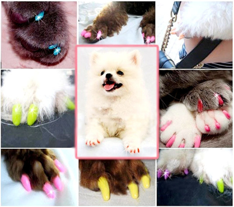 20 Pcs / Set Colorful Pet Nail Sets Catlike Sets Dog Cat Armor Products