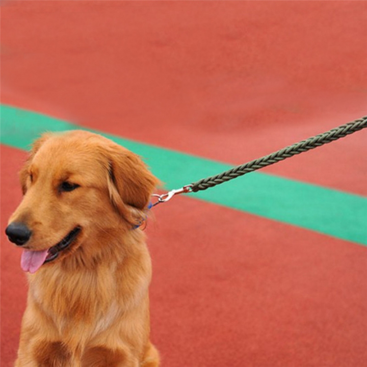 Pet Adjustable Nylon Dog Rope Slip Training Walking Leash Pet Collar Traction Rope for Large Dogs