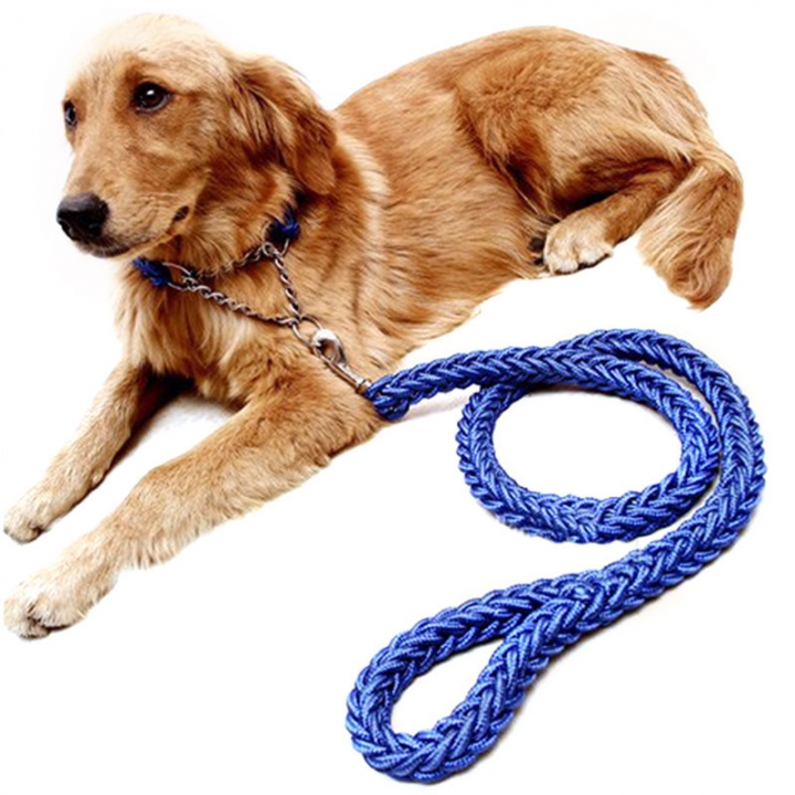 Pet Adjustable Nylon Dog Rope Slip Training Walking Leash Pet Collar Traction Rope for Large Dogs