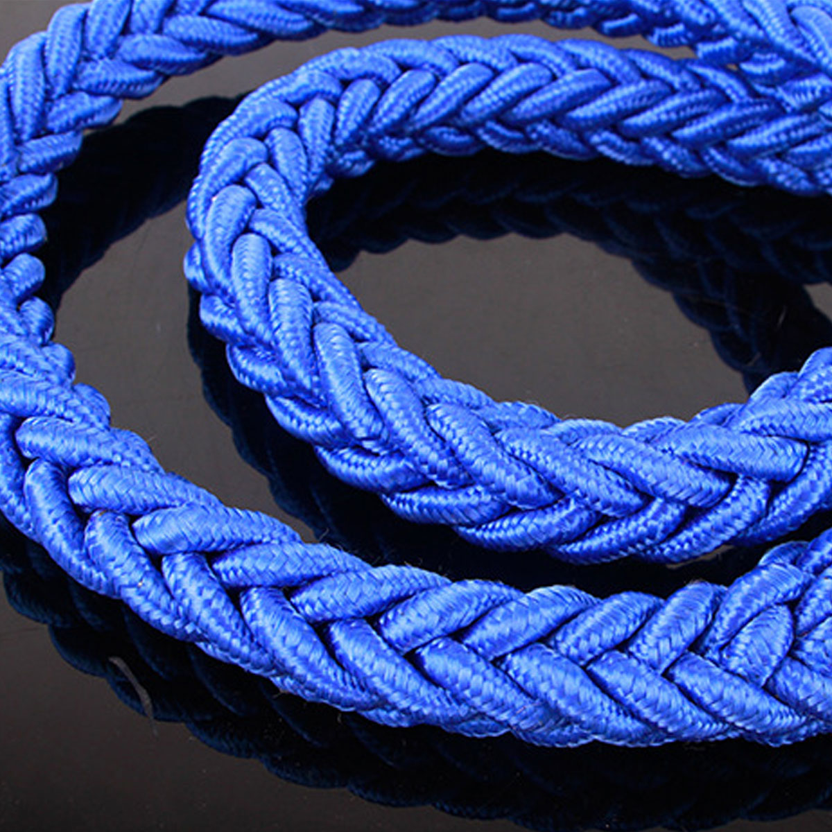 Pet Adjustable Nylon Dog Rope Slip Training Walking Leash Pet Collar Traction Rope for Large Dogs