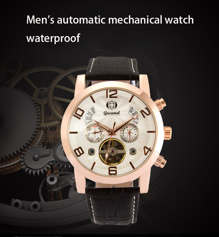 Men Waterproof Watch Upscale Business Fully automatic Mechanical Watch