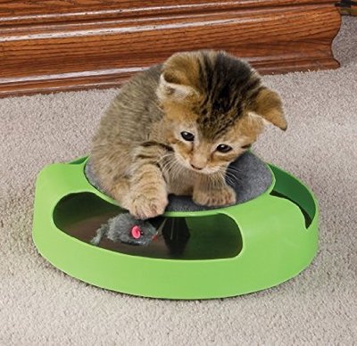 Pet Kitten Cat Toy Catch The Mouse Interactive Cat Training Play Activity Game System
