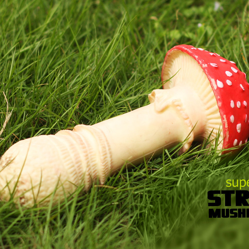 Spoof Vent Mushroom Flammulina Pleurotus Eryngii Matsutake Vent Stress Reliever toy Props