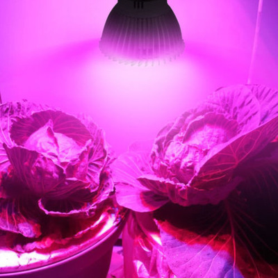 Full Spectrum 30W 50W 80W LED Grow Light Flower Plant Hydroponic Growth Bulb