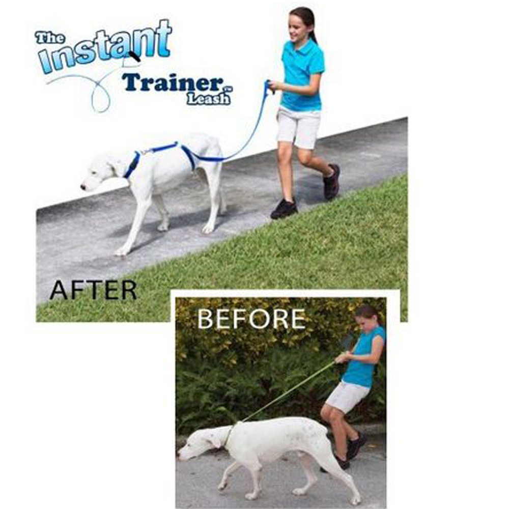 Dog Leash Trains Dogs Stop Pulling As Seen on Tv Dogwalk Best Selling Leash Online Will Stop