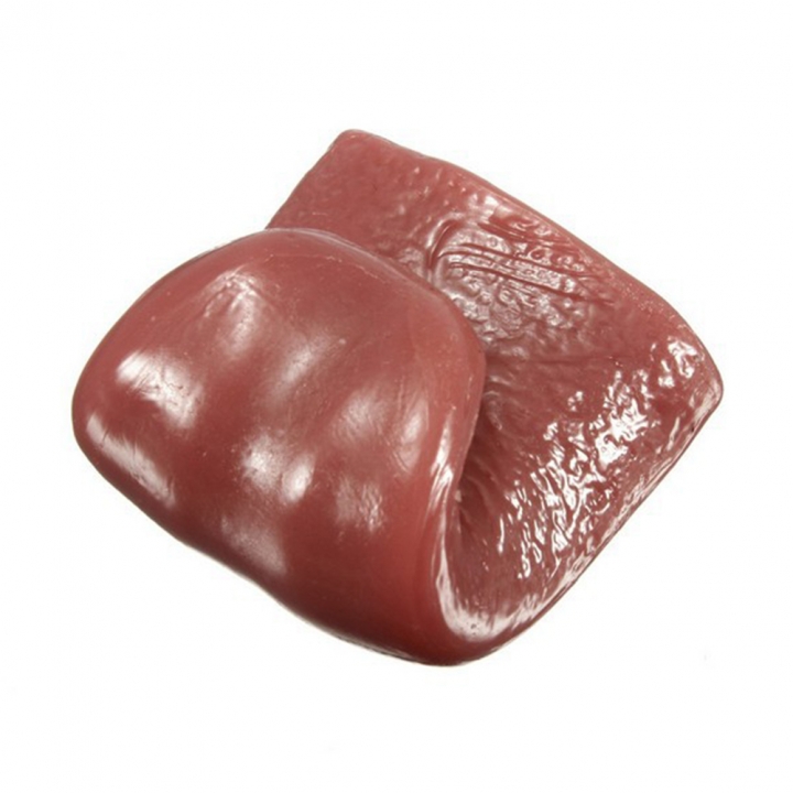 Novelty Halloween Joke Prank Realistic Pierced Fake Tongue Close up Magic Prop