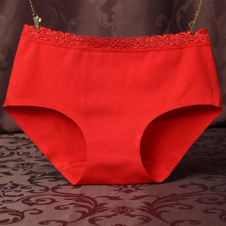 Ms One Piece No Trace Underwear Middle Waist Lace Cotton Underwear Briefs