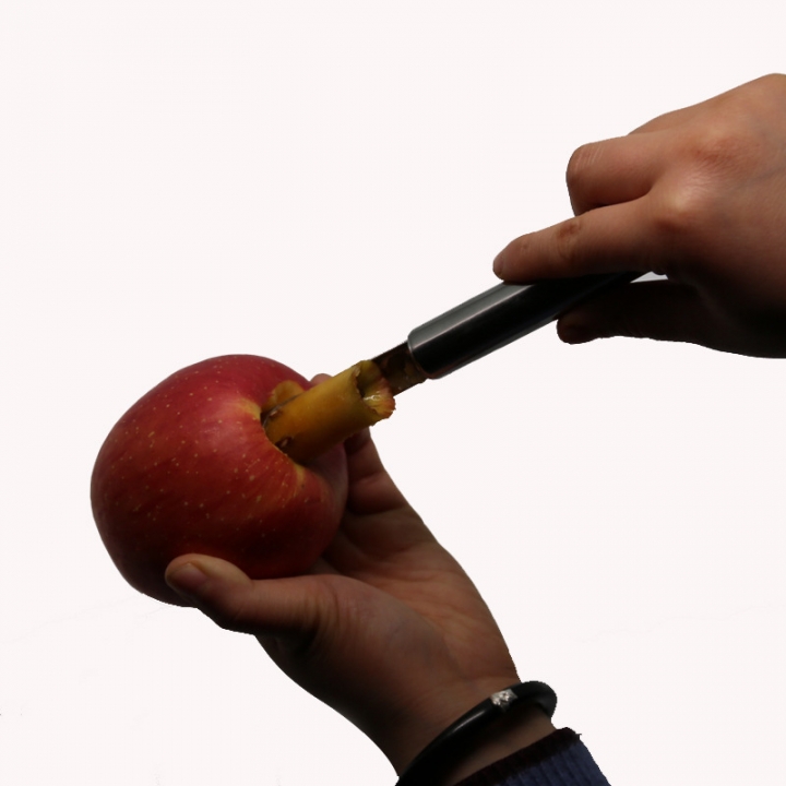 kitchen Tool Stainless Steel Hawthorn Apple Pear Core Puller Fruit Take a Nuclear Device