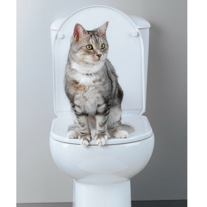 Pet Cat Toilet Training Kit Kitty Toilet Training Case Cats Toilet Trainer WC Pee Poo Trainers