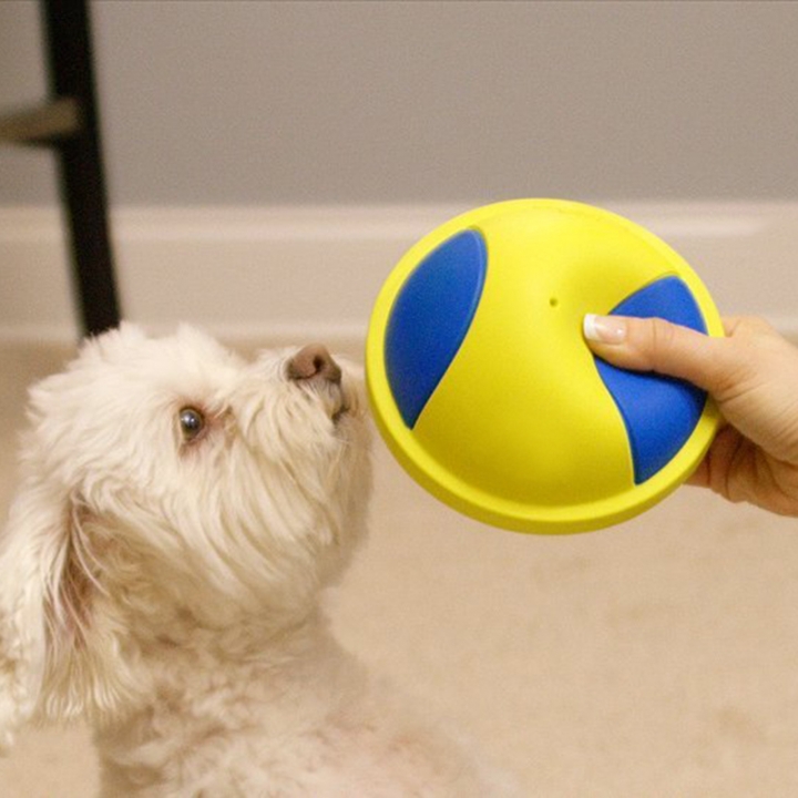 K9 Cruiser Gliding Indoor Unique Soft Dog Pet Toy Squeaky Ball Chew Toys Doggie