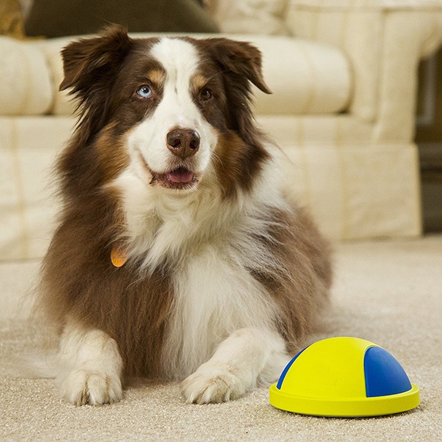 K9 Cruiser Gliding Indoor Unique Soft Dog Pet Toy Squeaky Ball Chew Toys Doggie