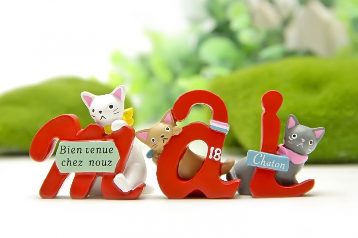 Groceries French letter Cat gardening Moss Succulents Fresh Flower insert Plugin Shooting Prop
