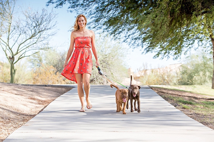 Automatic Telescopic Leash H Double Head Creative Hyena rope Dog Chain Pet Supplies
