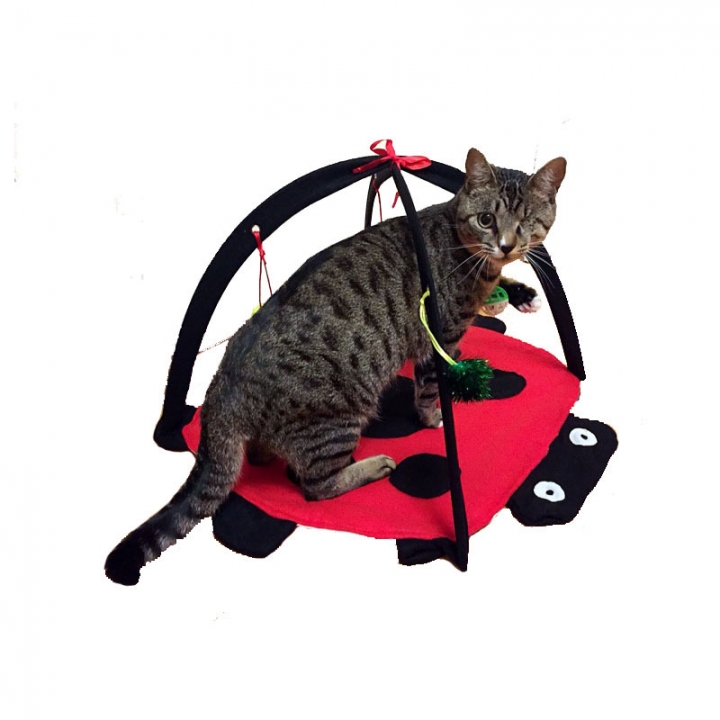 Foldable Multifunction Pet Cat tent Beetle Cat Playful bed Cat Amusement park