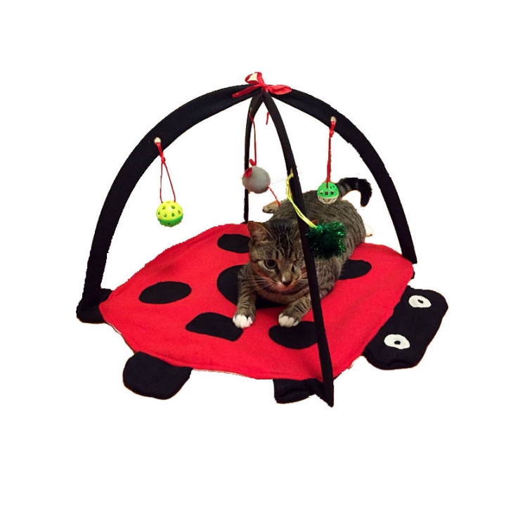 Foldable Multifunction Pet Cat tent Beetle Cat Playful bed Cat Amusement park