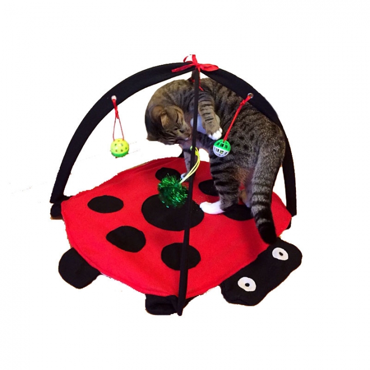 Foldable Multifunction Pet Cat tent Beetle Cat Playful bed Cat Amusement park