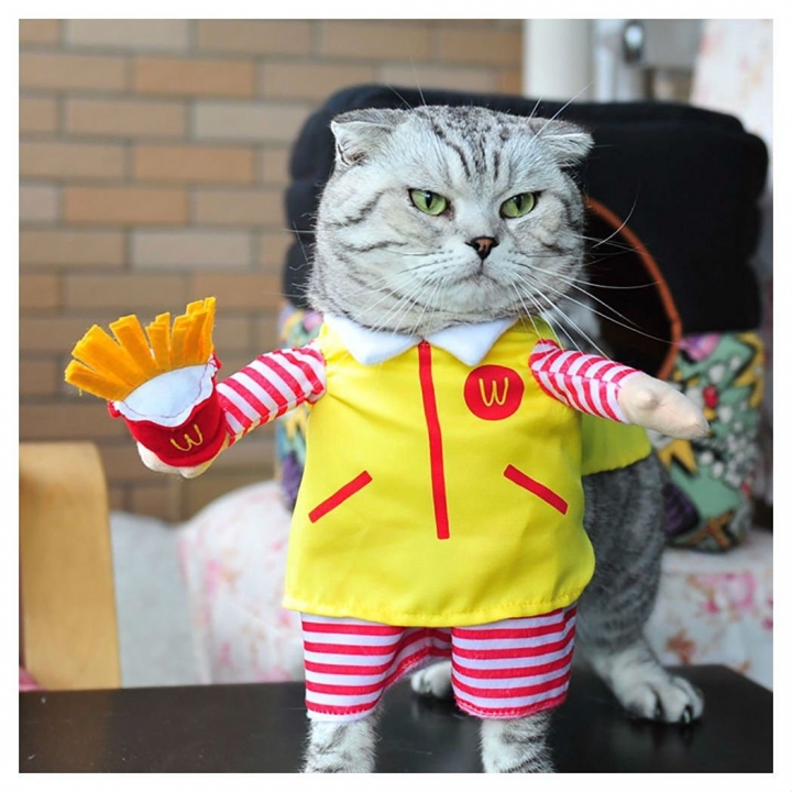 Pet Standing Pet Clothes Pet Supplies dog's Clothes Dog Transformed Dress