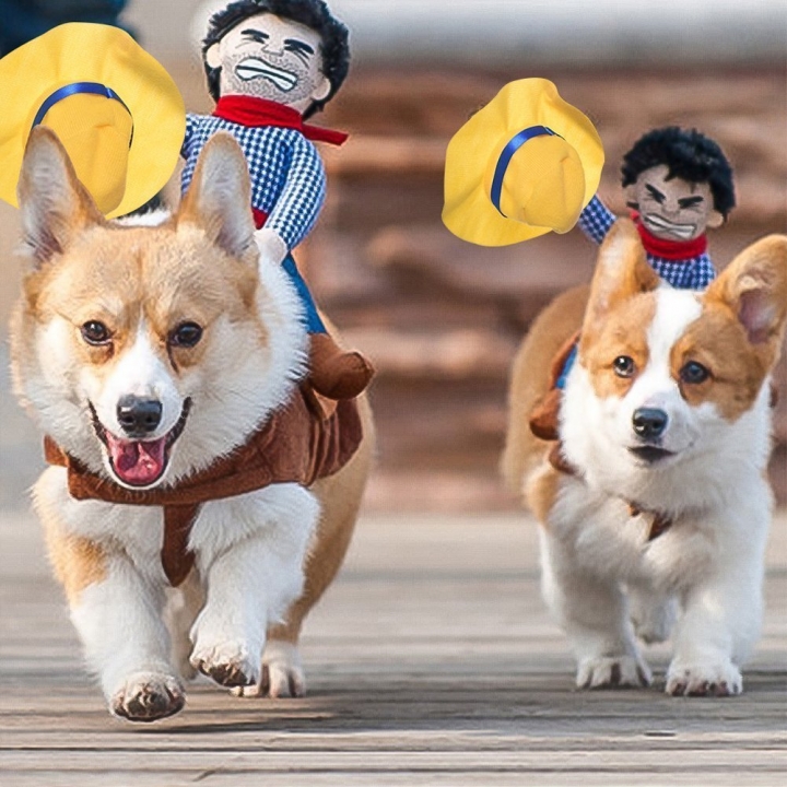 Pet Riding Equipment Cowboy knight Clothes Funny Pet Clothes Dog Clothes pet Supplies