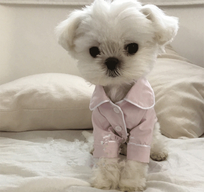 French Dog Pajamas Bomei Bichon Bullfighting Small dog Teddy Pet clothes Blouse