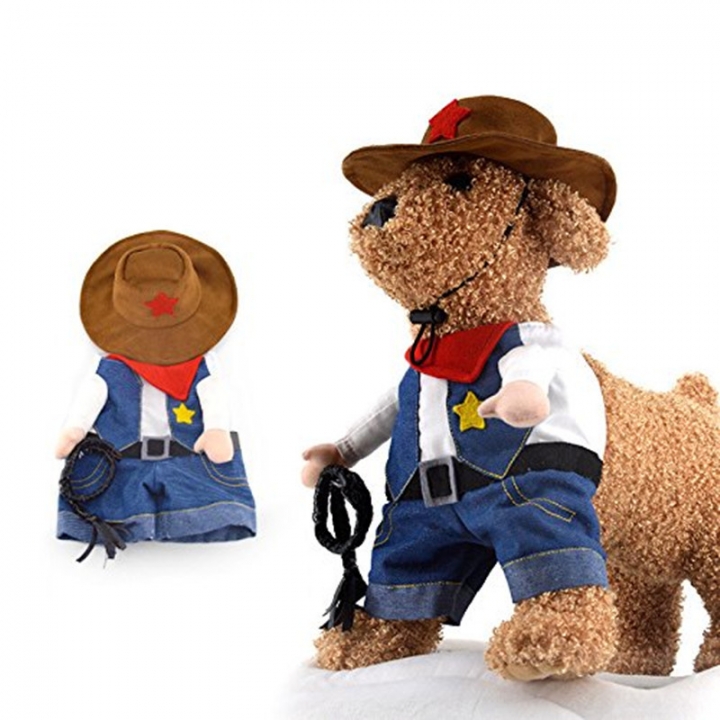 Pet Transformed Dress Cowboy Standing Dog Clothes Selfie Entertainment Clothing Clothes for Pets
