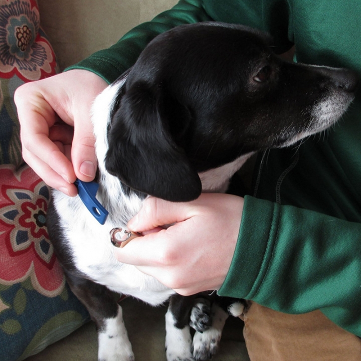 Don Sullivan Perfect Dog Command Collar Reduce Pulling Jumping Pinch Training for Medium/ Large dogs