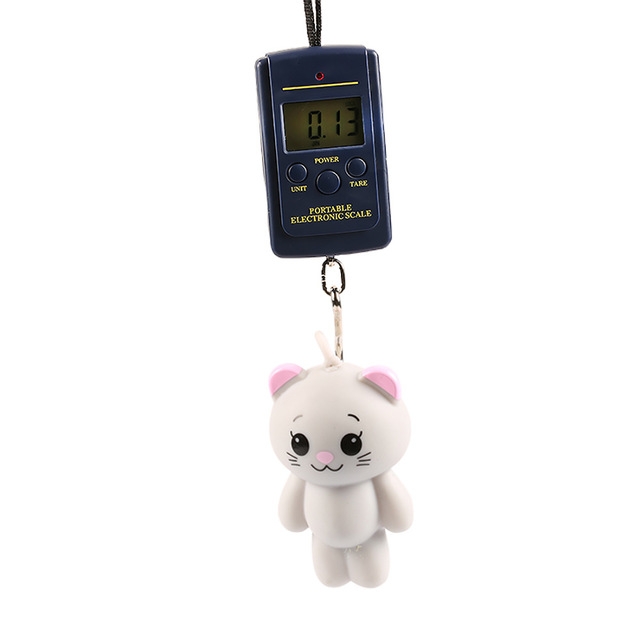 Kitchen Weight Hanging Scales Portable 40kg/10g Electronic Hanging  Digital Pocket Weight Hook