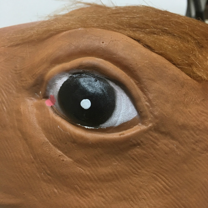 Horsehead Mask Animal Head Set Jiangnan Style Dog Ma Jun Halloween Horse Mask Mask of Terror