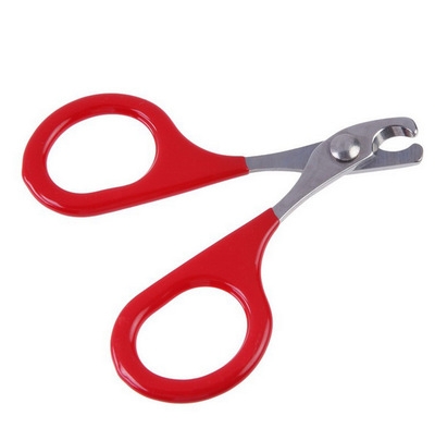 Cat Nail scissors pet Dog pet Nail clipper Kitten scissors