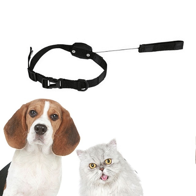 Lucky Pet Cat Controller Custom Short Sex Collar Harness