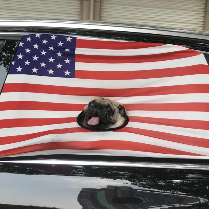 Curtain bedroom Living room Car Visor Cover Window Sun Shade Pet Dog Hang Out Car Window