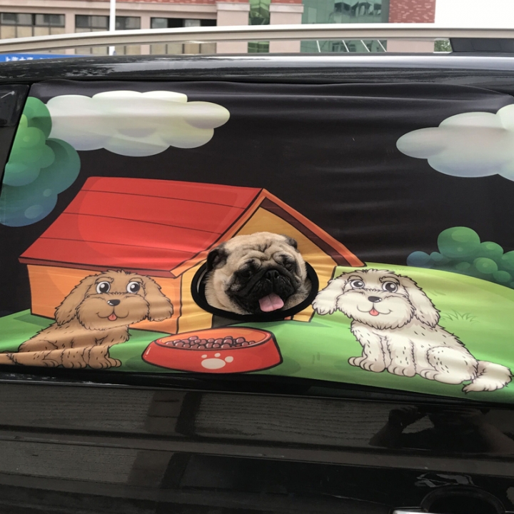 Curtain bedroom Living room Car Visor Cover Window Sun Shade Pet Dog Hang Out Car Window