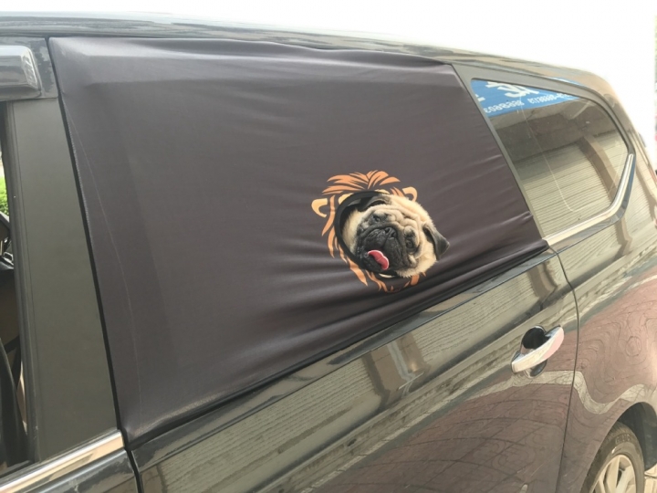 Curtain bedroom Living room Car Visor Cover Window Sun Shade Pet Dog Hang Out Car Window