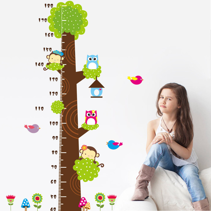 owl monkey tree Children's room bedroom background kindergarten height Sticker