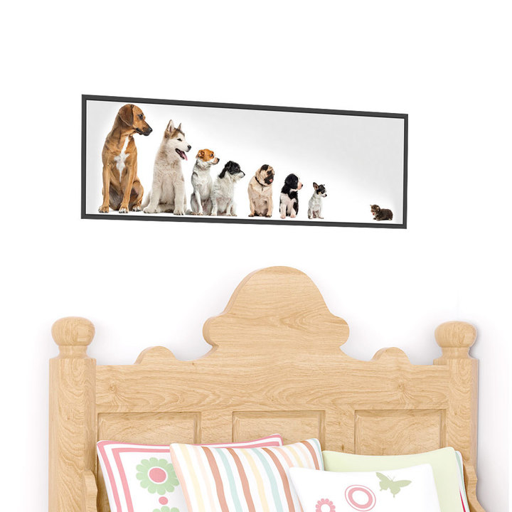 Picture frame puppy 3D stereoscopic effect living room sofa Background wall decoration