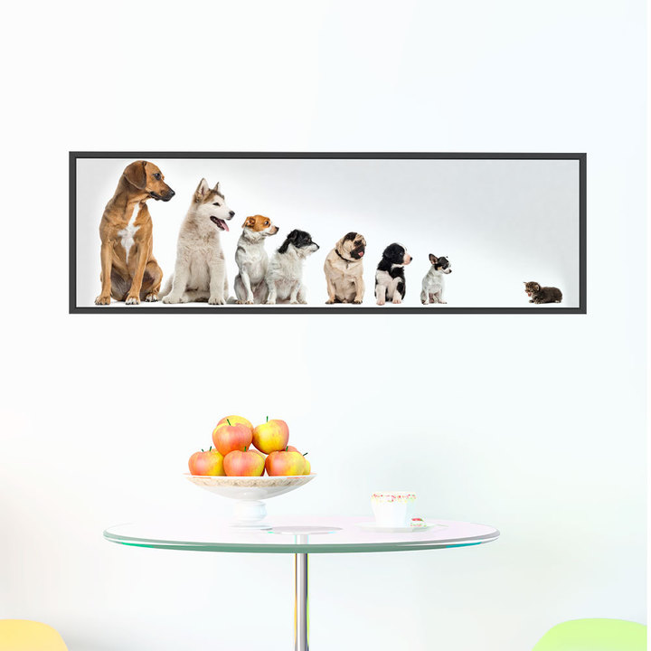 Picture frame puppy 3D stereoscopic effect living room sofa Background wall decoration
