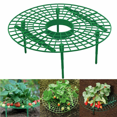 Balcony Vegetable Rack Fruit Stand Strawberry Stand Plant Support Strawberry Growing Support