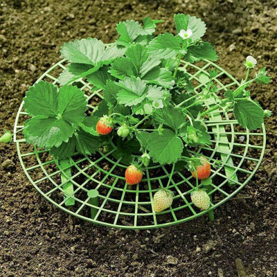 Balcony Vegetable Rack Fruit Stand Strawberry Stand Plant Support Strawberry Growing Support