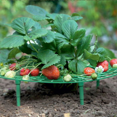 Balcony Vegetable Rack Fruit Stand Strawberry Stand Plant Support Strawberry Growing Support